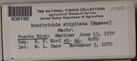 Image Associated With the Occurence